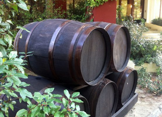 winery-sithonia